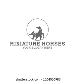 LOGO FOR MINIATURE HORSES