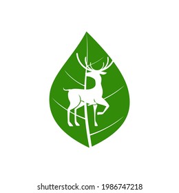 logo mixed deer and leaf make a good design for your company