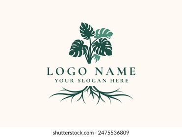 logo monstera leaves and roots. Logo botanical, floral and home plants. Editable file