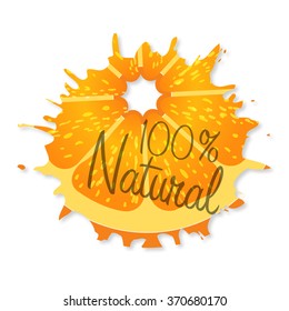 Logo natural orange with shadow on a  white background