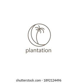 Logo-Naturcokonus-Baum, Vektorgrafik, einfaches Linienkreisdesign