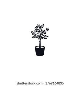 logo, olive tree in pot, simple