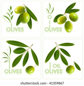 Logo. Olives.