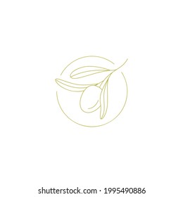 Logo of olives on a branch . Modern logo in line style. Minimalistic floral vector illustration. Elegant sign for canned olives, olive oil, olive plantation. logo of branch
