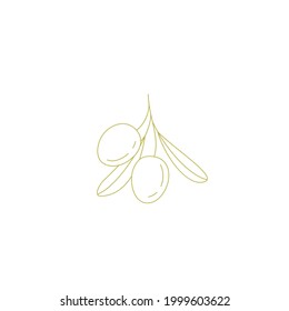 Logo of olives on a branch . Modern logo in line style. Minimalistic floral vector illustration. Elegant sign for canned olives, olive oil, olive plantation. logo of branch