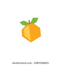 Logo orange fruit with leaf geometric and blank background