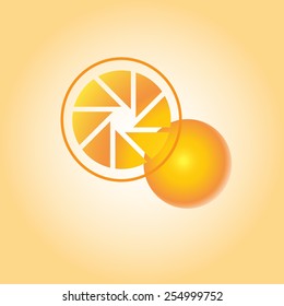 logo orange vector illustration