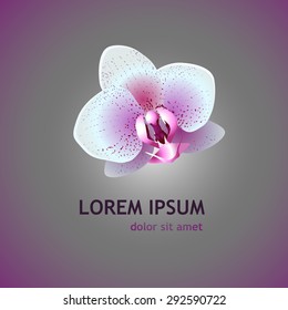 Logo orchid flower. Vector