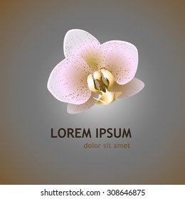 Logo orchid flower. Vector