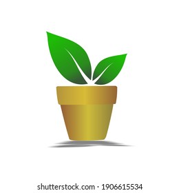 
logo of ornamental plants in gold pot