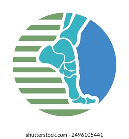 Logo for orthopedic and podiatry foot and ankle