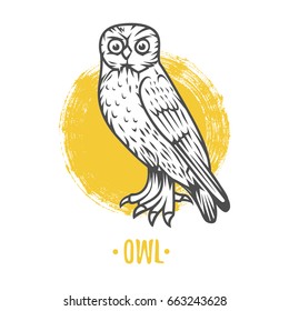Logo of owl on a white background. Coat of arms, heraldry, emblem, symbol design elements.