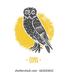 Logo of owl on a white background. Coat of arms, heraldry, emblem, symbol design elements.