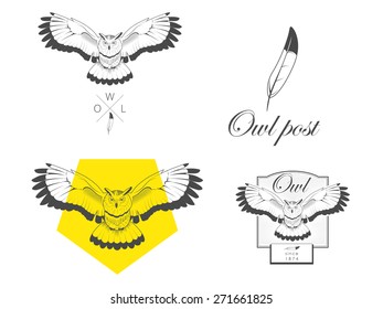 Logo owl vector illustration design