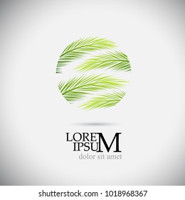Logo palm leaf. Vector