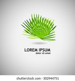 Logo palm leaves. Vector
