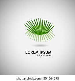 Logo palm leaves. Vector