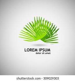 Logo palm leaves. Vector