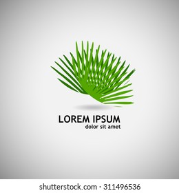 Logo palm leaves. Vector