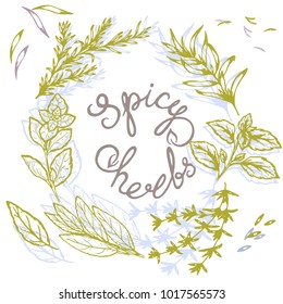 logo pattern of spicy herbs with lettering in retro style, vector illustration, postcard
