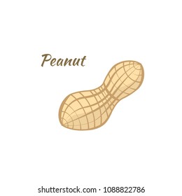 logo a peanut icon

