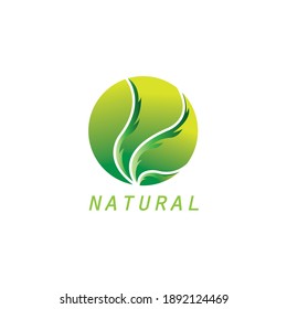 logo petal element nature illustration circle design vector template ornament