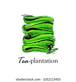 Logo with a picture of tea plantations and a crop picker.