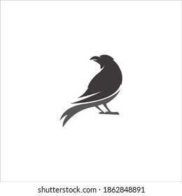 logo raven icon templet vector