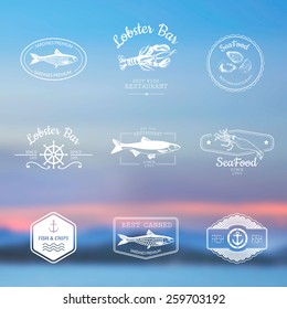 Logo set for seafood restaurant or bar with a picture of the fish on blurred background of the sky and the sea.