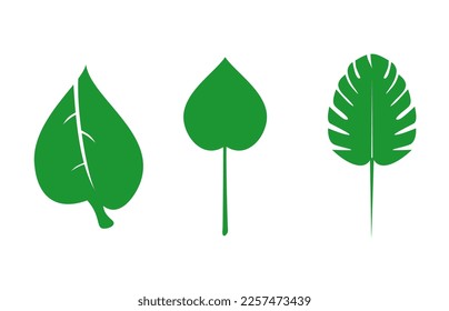 logo set of three different leaves