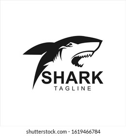 logo shark animal design icon vector silhouette sea
