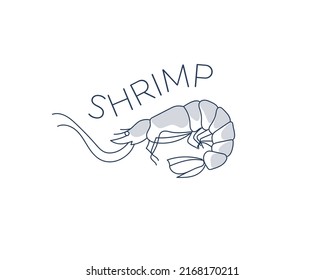 Logo with shrimp, drawn by graphic lines on a light background. Retro engraving for a menu of fish restaurants, for packaging in markets and in stores. Vector vintage illustration. Vector illustration