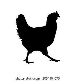 Logo, silhouette of chicken. retro print. Logo template for meat business. Black chicken vector illustration isolated on white background.