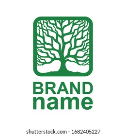 Silueta de logo de una corona de árbol sin hojas. Ramas verdes y tronco en un marco cuadrado. Icono, signo, símbolo, identidad de marca para la agricultura, bio, eco, natural, alimentos orgánicos. Ilustración vectorial.