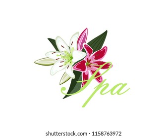 Logo Spa salon