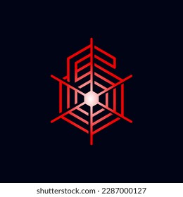 Das Logo ist ein Spinnennetz 60. Hexagon, elegant und umrissen.