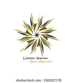 Logo star Abstract.Isolated white background as illustration  creativity of line art