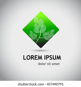 Logo stylized tree branch. Vector