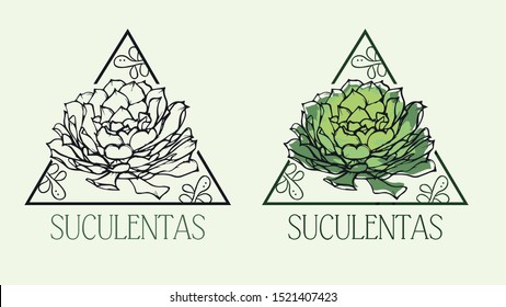 Logo For Succulent Plants Shop. Vector Illustration.