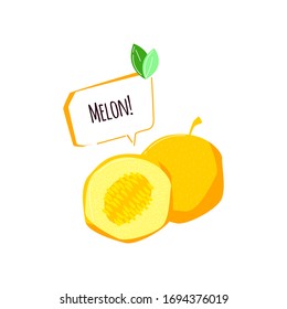 Logo of sweet melon on flat cartoon style. Vector illustration on white background	
