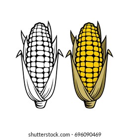 Logo and symbol of corn for Thanksgiving Day