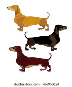 the logo of the tax is worth a profile the logo of the tax is worth a profile. 
dark brown black dog on a background of a green oval. hunting dog. set of dogs