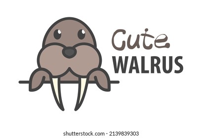 Logo template with cute curious walrus. Vector logo design arctic animal template for zoo, veterinary clinics, etc. Cartoon animal logo illustration.