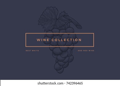 Logo template for design of wine card, booklet, menu for restaurant or bar with inscription 