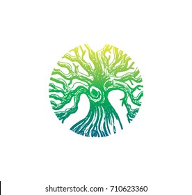 logo template. root logo. wood logo. 