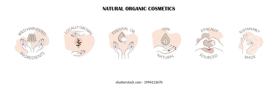 plantillas de logotipo, iconos y distintivos para cosméticos orgánicos naturales con ingredientes ecológicos salvajes recolectados, a base de plantas, fabricados de forma sostenible y de origen ético. Conjunto de vectores de elementos de diseño de línea para la belleza