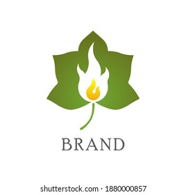 A logo that combines the leaf shape of the castor (ricinus) tree and the base of the fire shape. This logo fits perfectly with industries engaged in the processing of castor trees and various fields w