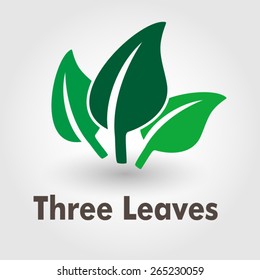 logo three leaves, creative and innovative template collection