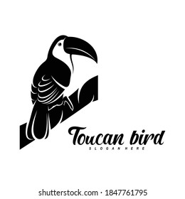 Logo toucan bird vector illustration design, creative design