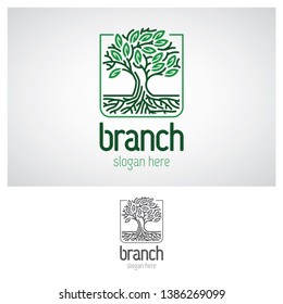 logo of tree design with roots in square lines - vector